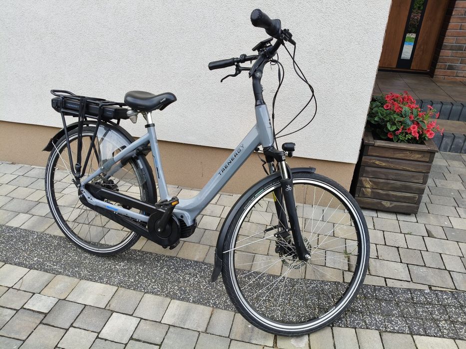 Rower elektryczny Trenergy holederski