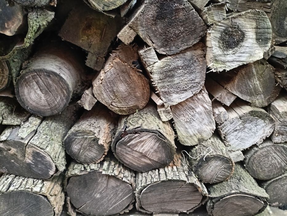 Дрова.  плодові.