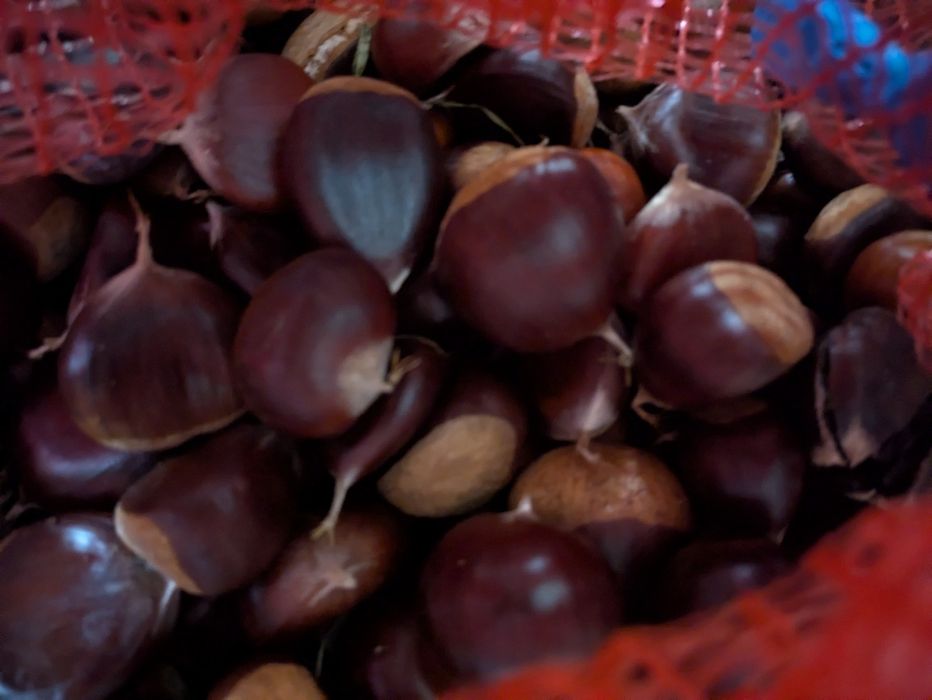Castanha a 3€/kg
