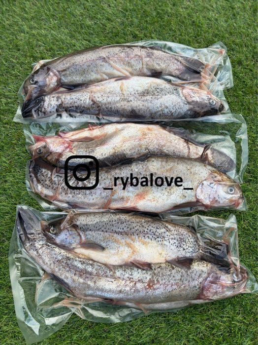 Зріз Лосося, Круасани з Лосося, Тримінг, Слайси, Форель, Ікра