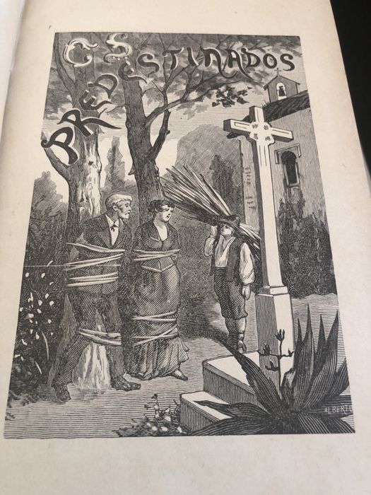 Livros Os Predestinados de P. Escrich