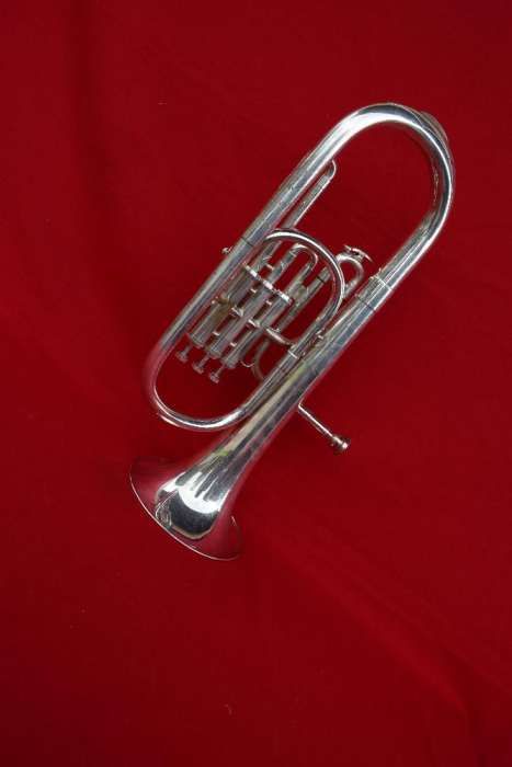 Trompa , Master 670289