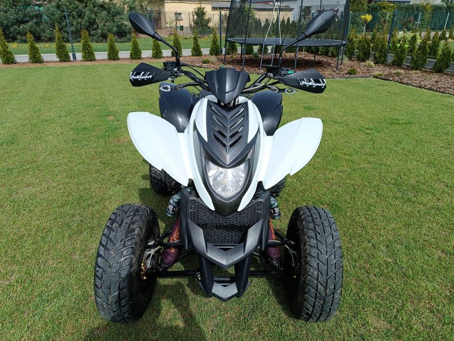 Quad Dinli Dl 801-300 2013