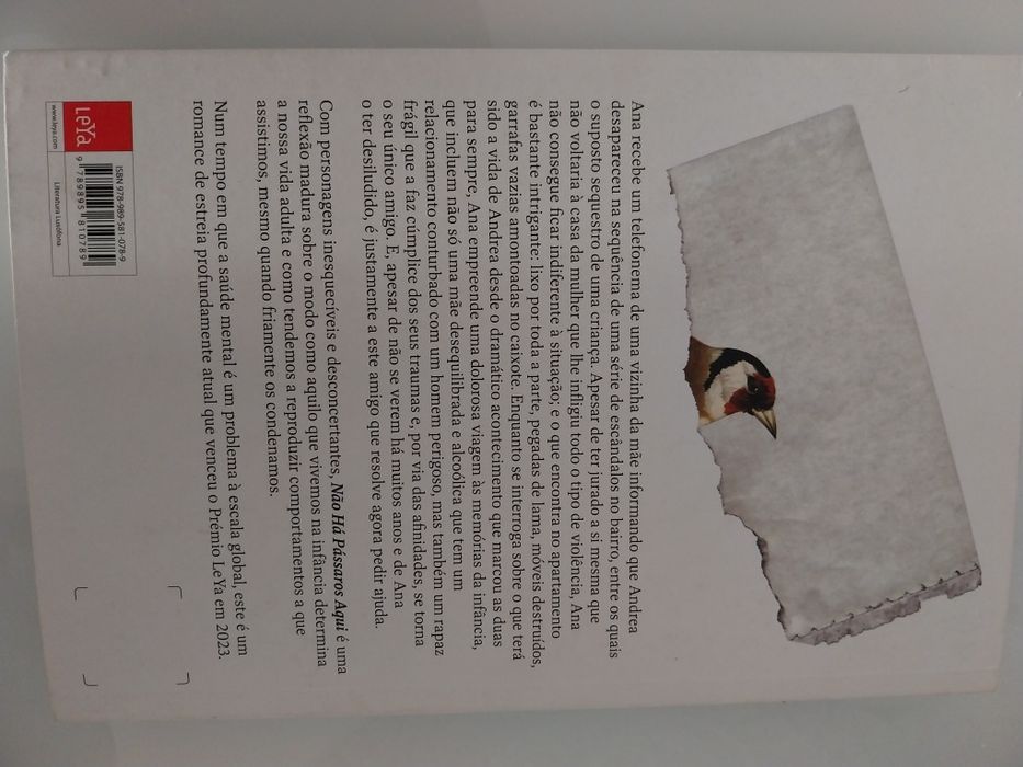 Livro " Não há pássaros aqui" de Victor Vidal