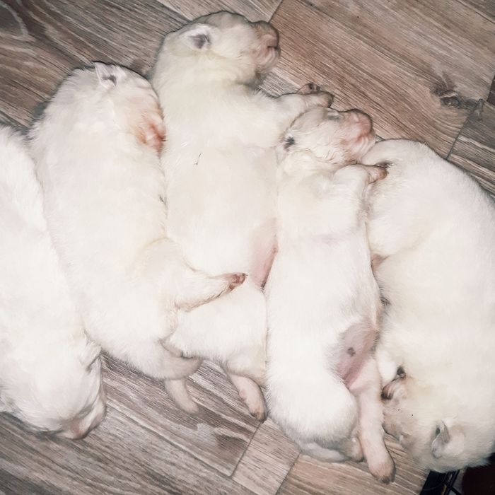 Відкриваємо бронювання