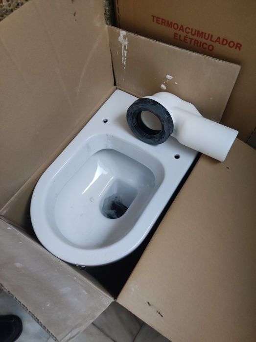 Sanita Sanitana Coral