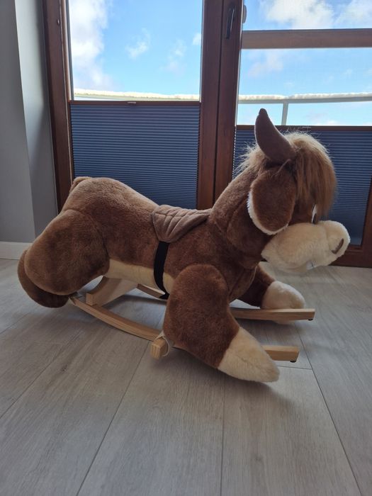 Bujaczek byk na biegunach