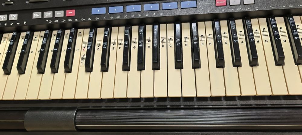 Синтезатор Yamaha PSR-3500