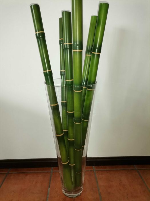 Jarrão vidro com canas de bambu