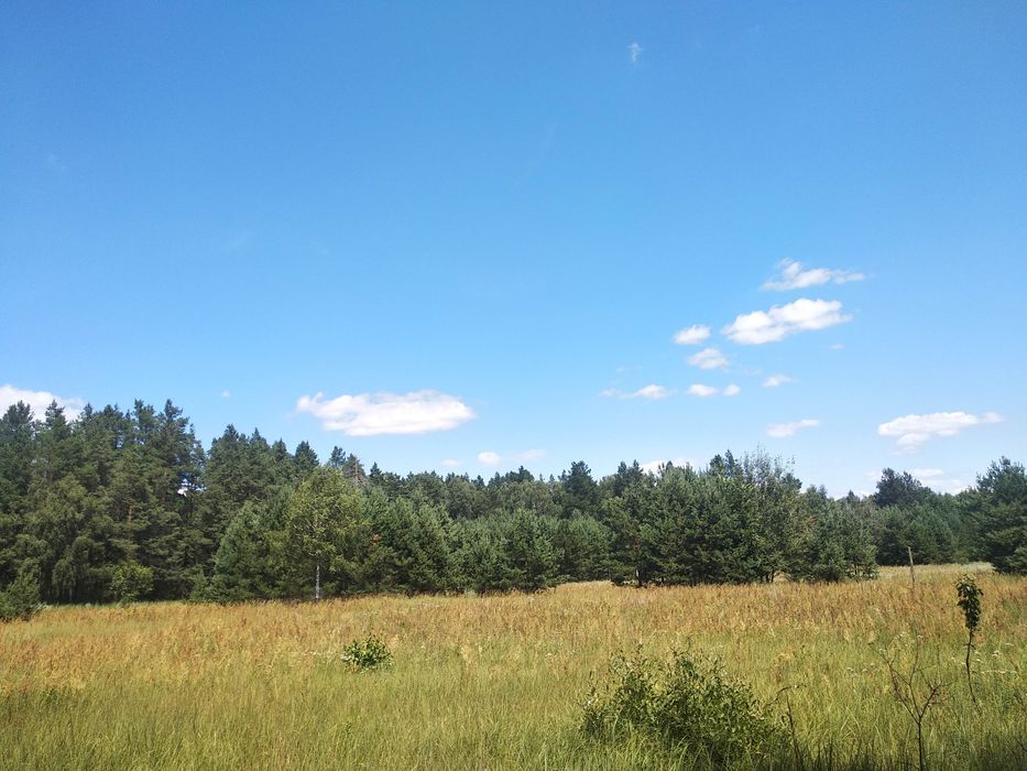 Продам участок в кооперативі Букач