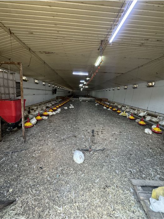 Продам помещение с. Голубовка