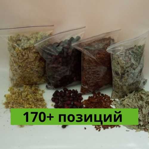 Сушёные лекарственные травы без примесей — от 500 г