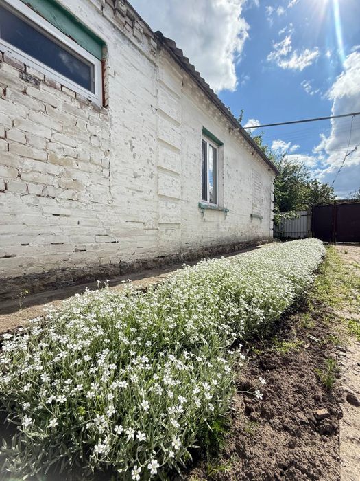 Продаж будинку і зем ділянки/Сонячне