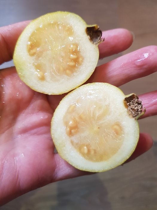 Гуава  гуаява земляничная