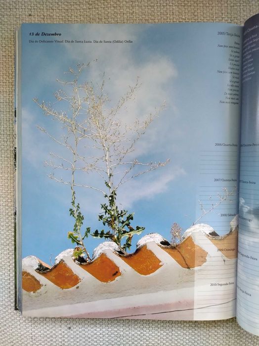 Agenda 2005/2010 (David Pereira)