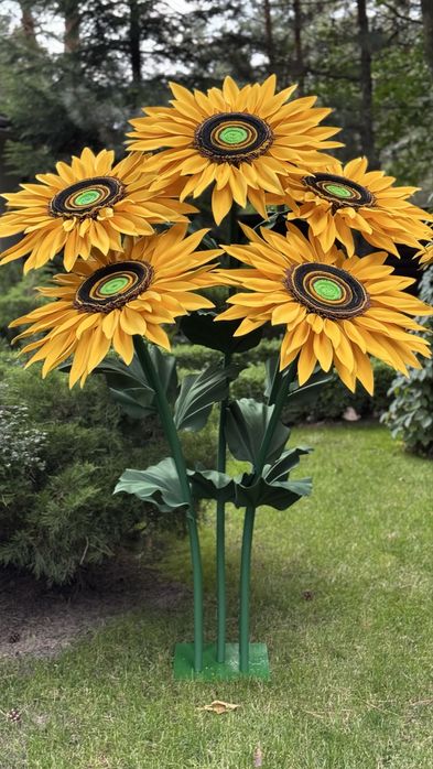 Ростові квіти для декору