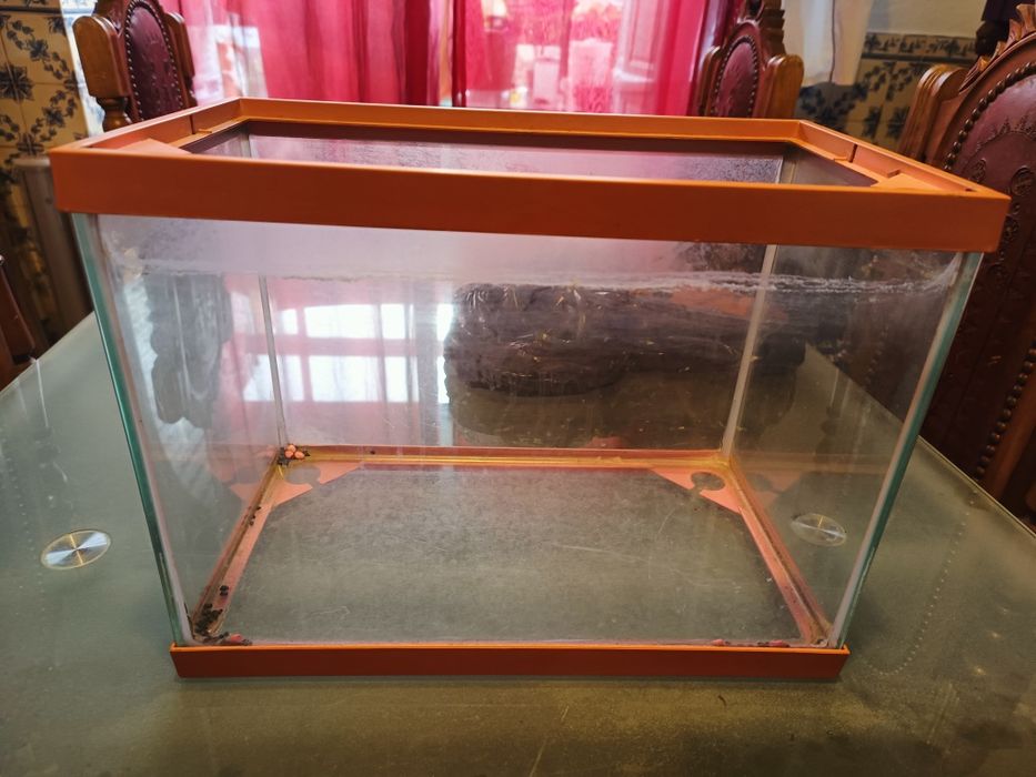 Aquário de peixes varidados