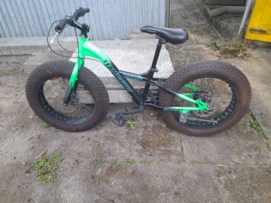 Rower team raider mini