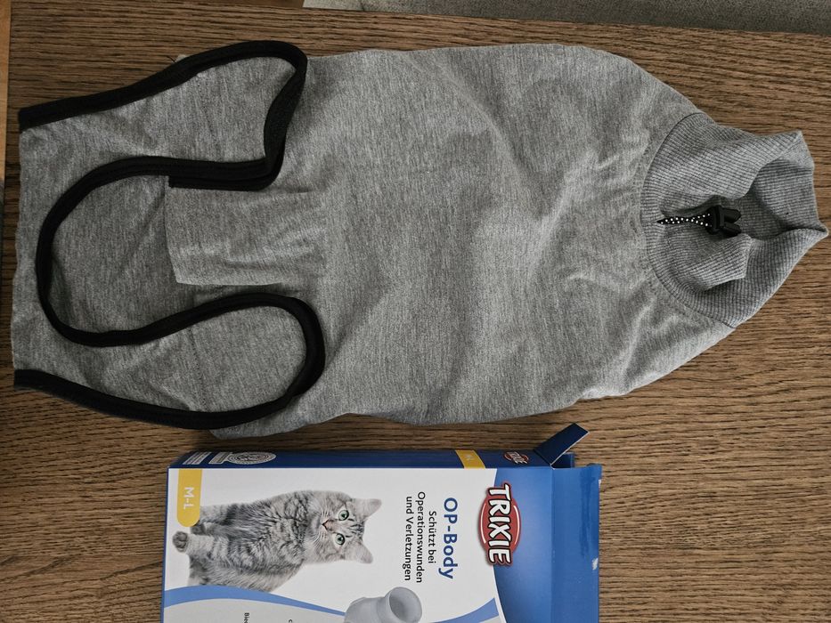 Body pós cirúrgico gato