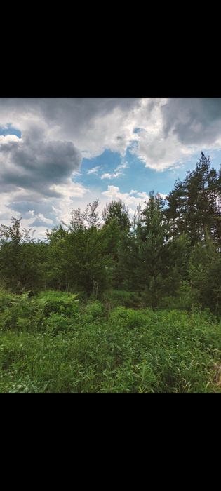 Działka budowlana 10 ar WZ - Widok 2