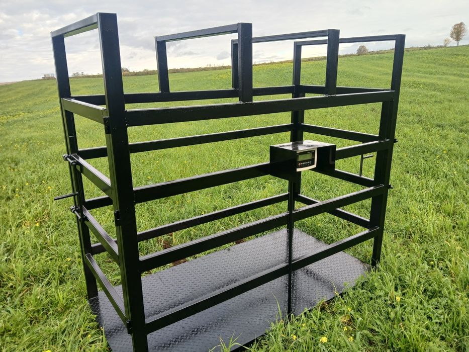 Waga do bydła, inwentarzowa, bardzo masywna, wysyłka cała Polska