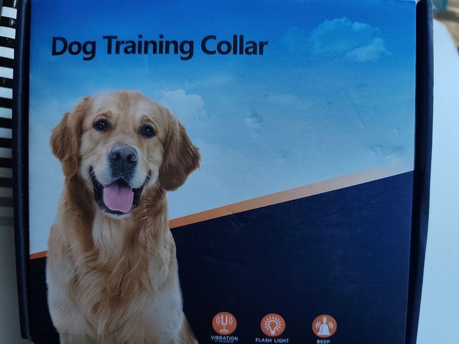 Conjunto para treino cão com três coleiras e comando