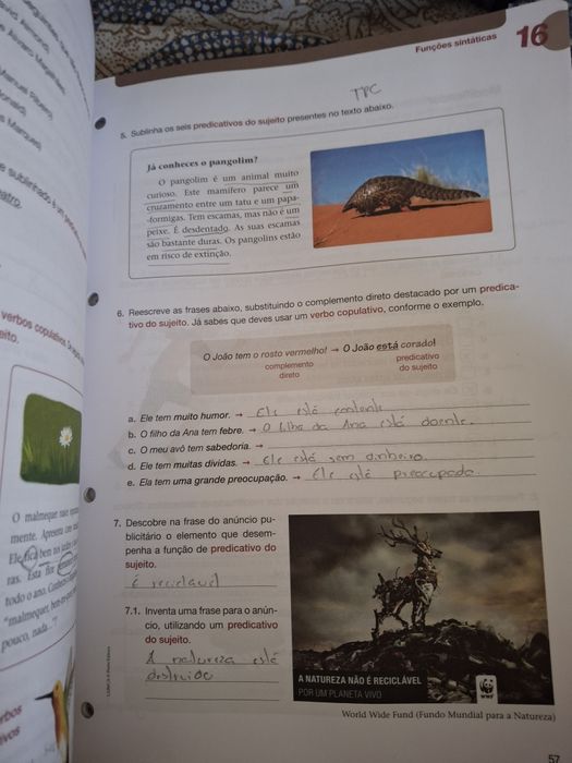 Caderno de atividades Livro Aberto 6 ° ano