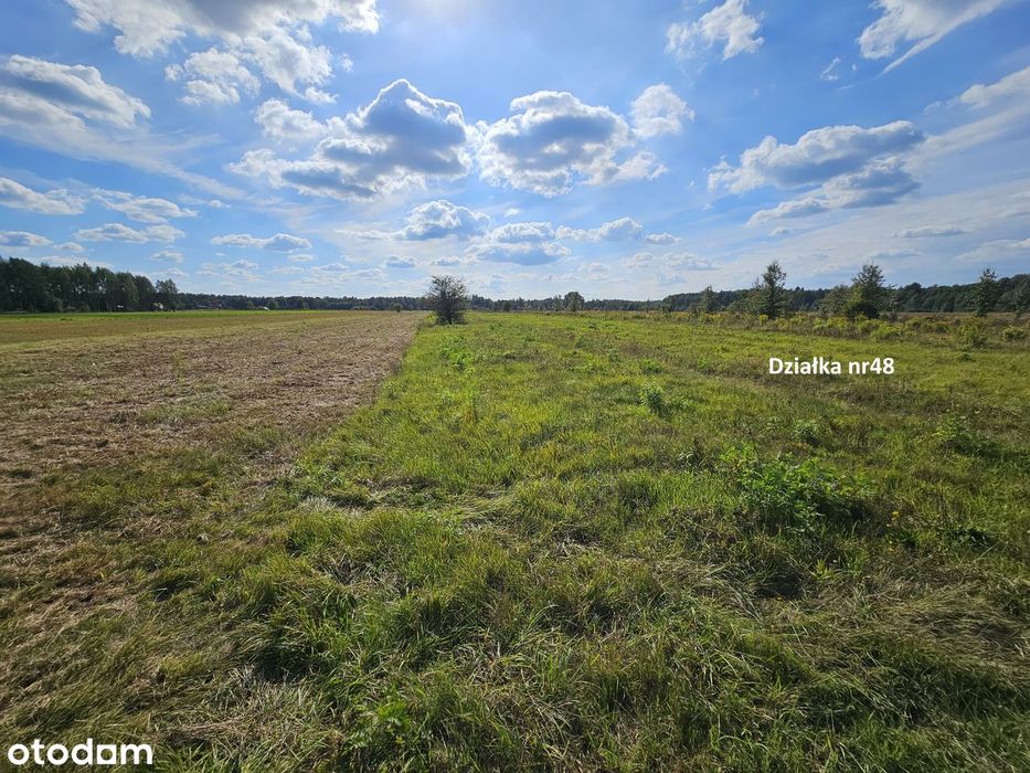 Własne Miejsce W Puszczy Białowieskiej–Cisza, Natura I Off-Grid 0,56Ha