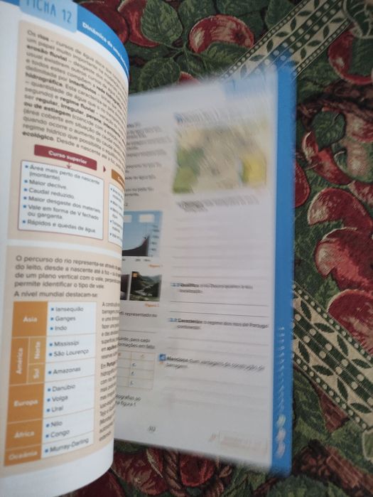 Revisões para todo o ano 7 ano (resumos e exercícios)