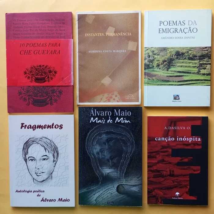 Coleção de Livros Mistos - Autores Variados - Conjunto 8