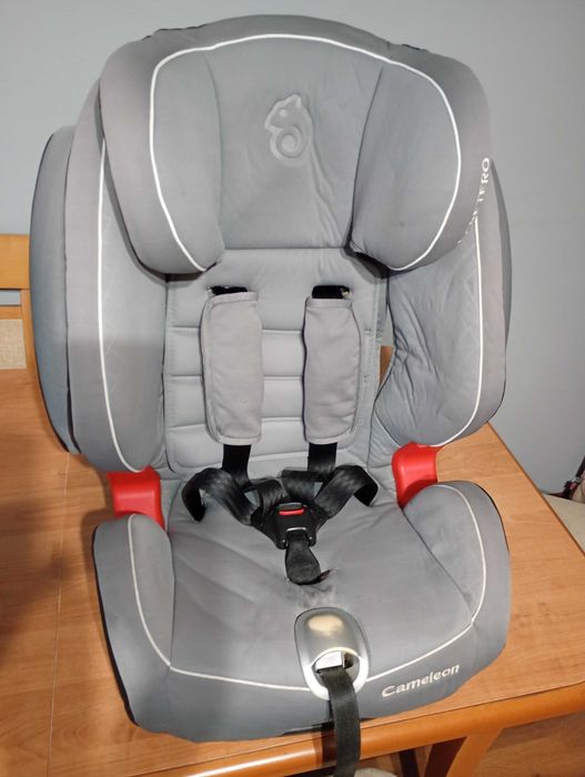 Fotelik samochodowy 9-36kg. ISOFIX. Caretero Cameleon.