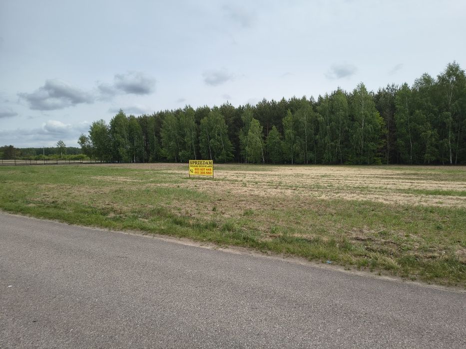 Działka budowlana Kazimierzów - Widok 2