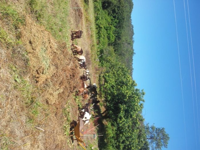 Kit cerca eléctrica portátil a 12 volts a bom preço.