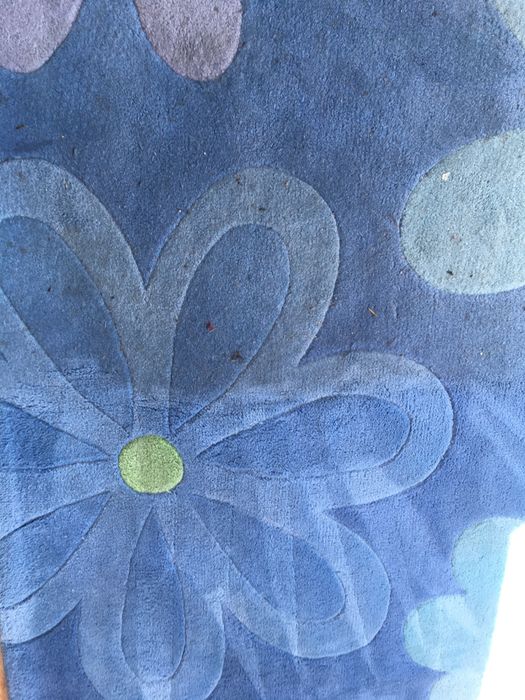 Alugo lavadora extratora para limpeza de sofás, colchões, carpetes,etc