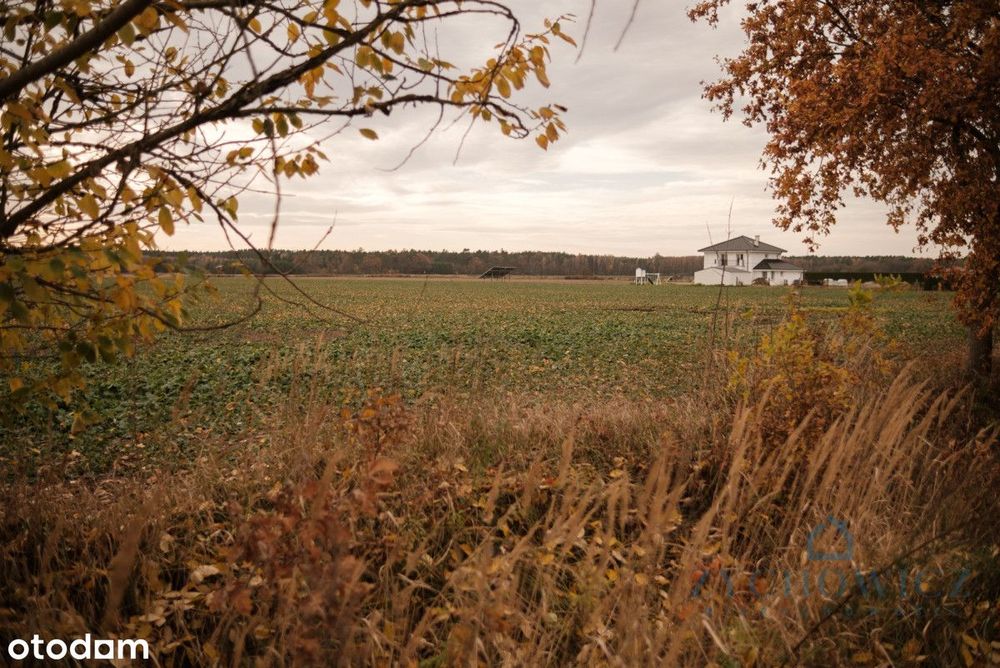 Ligotka k. Namysłowa –idealna działka pod Twój dom