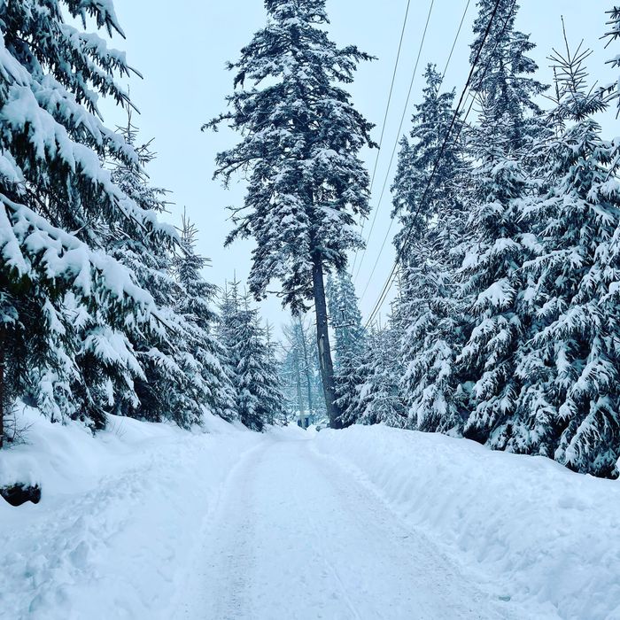 Оренда Будинок , дом, Котедж  буковель сауна