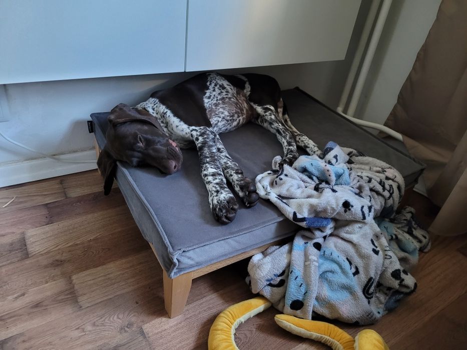 Używane legowisko Hectolove Duo Tierra rozmiar M