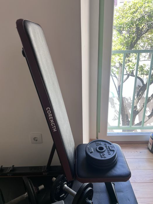 Bench, dumbbells and barbell