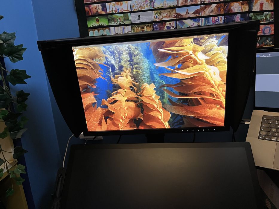 EIZO Monitor CG242064585703671937121