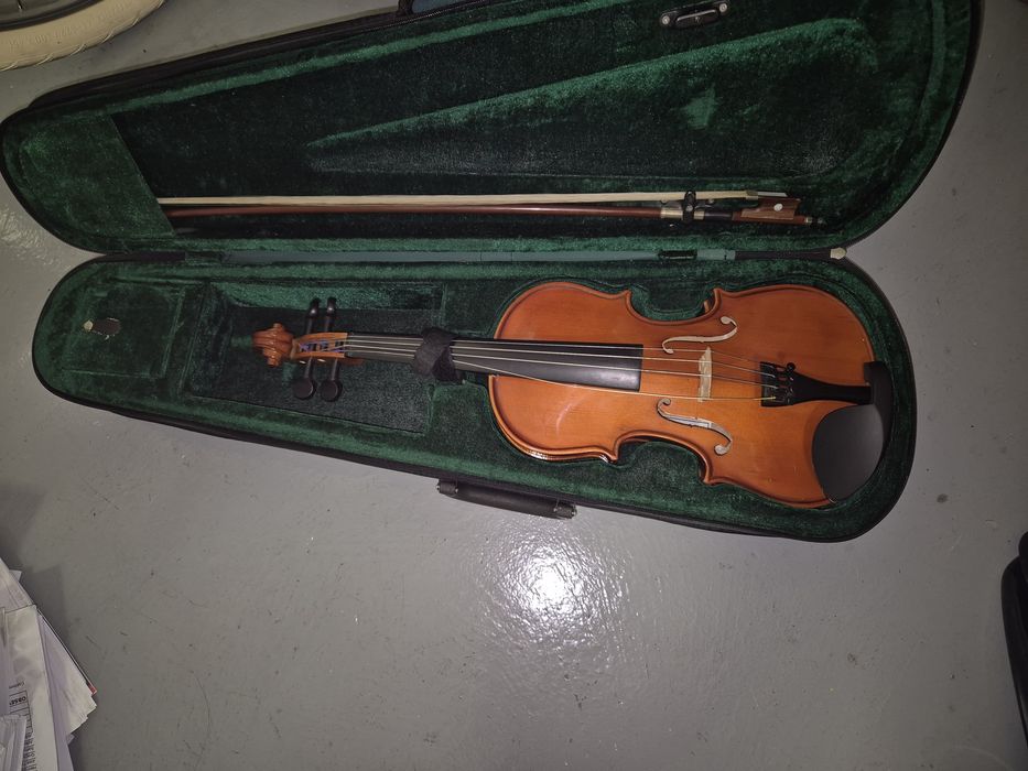 3/4 Learning Violin457025793336944643