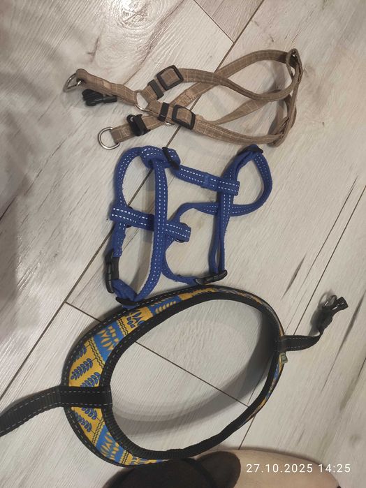 Дощовик, пильник,флісовий жилет для французького бульдога