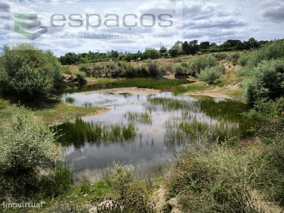 Land Plot of 60,000 m² at the Gates of Castelo Branco City