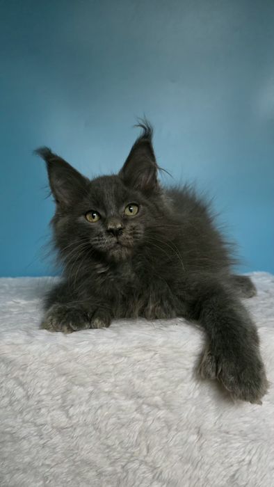 Мальчик полидакт