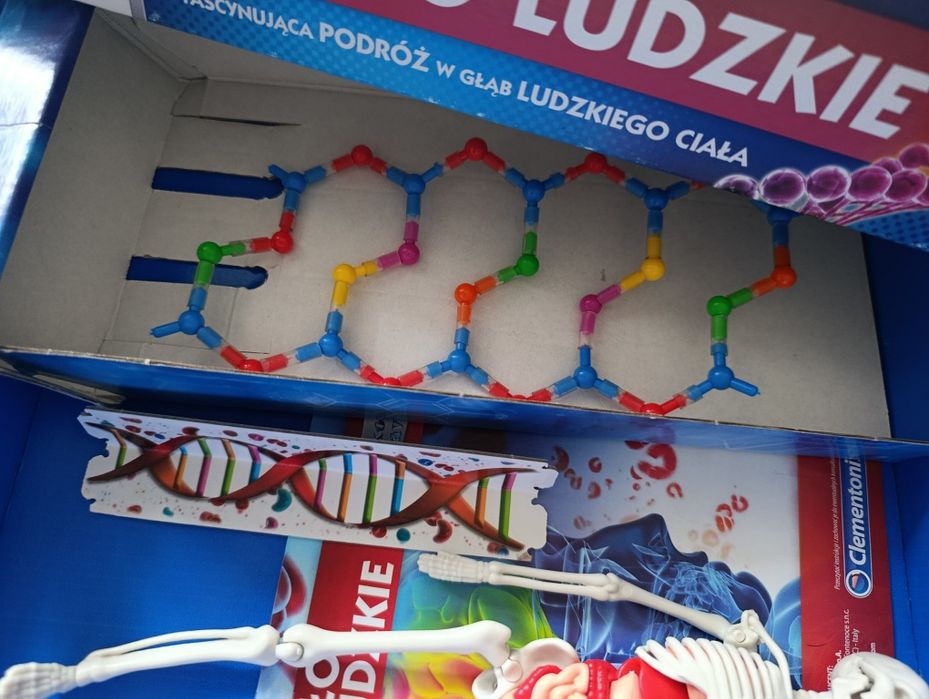Clementoni Ciało ludzkie