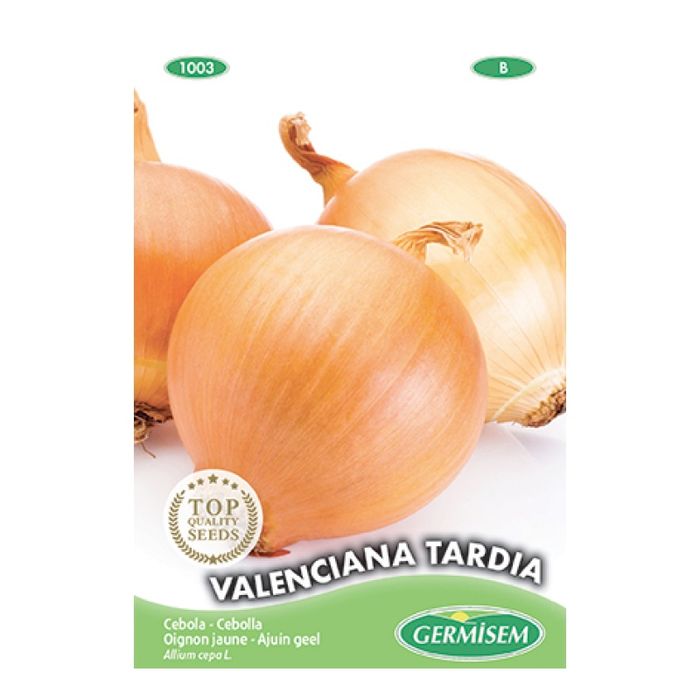 Cebolas valencianas