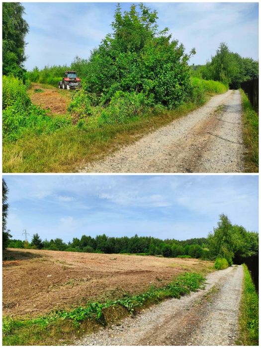 Karczowanie Mulczer Wycinka Czyszczenie działek Rekultywacja terenu