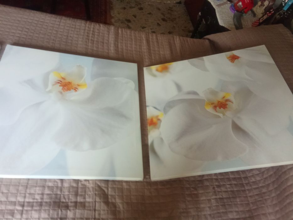 Conjunto quadros Tulipas