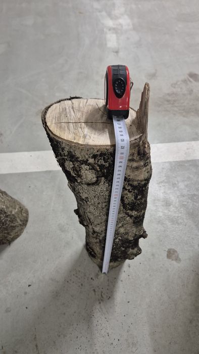 Drewno orzech – 4 pieńki ok. 60 cm suche
