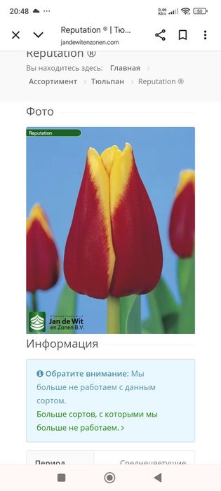 Продам тюльпани.