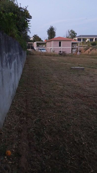 Limpezas de Terrenos